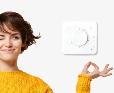 Dual-function thermostat